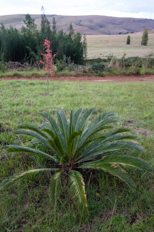Farm stay The Stix Dullstroom